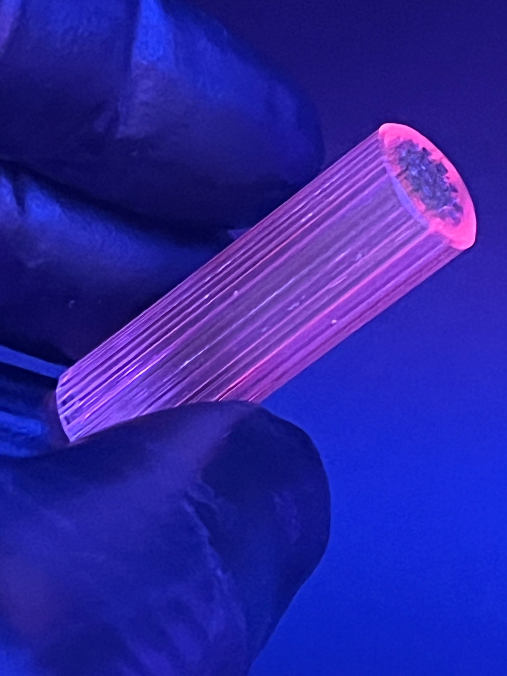 11,6mm - UV-Reaktiv- XT - Freeek - USA