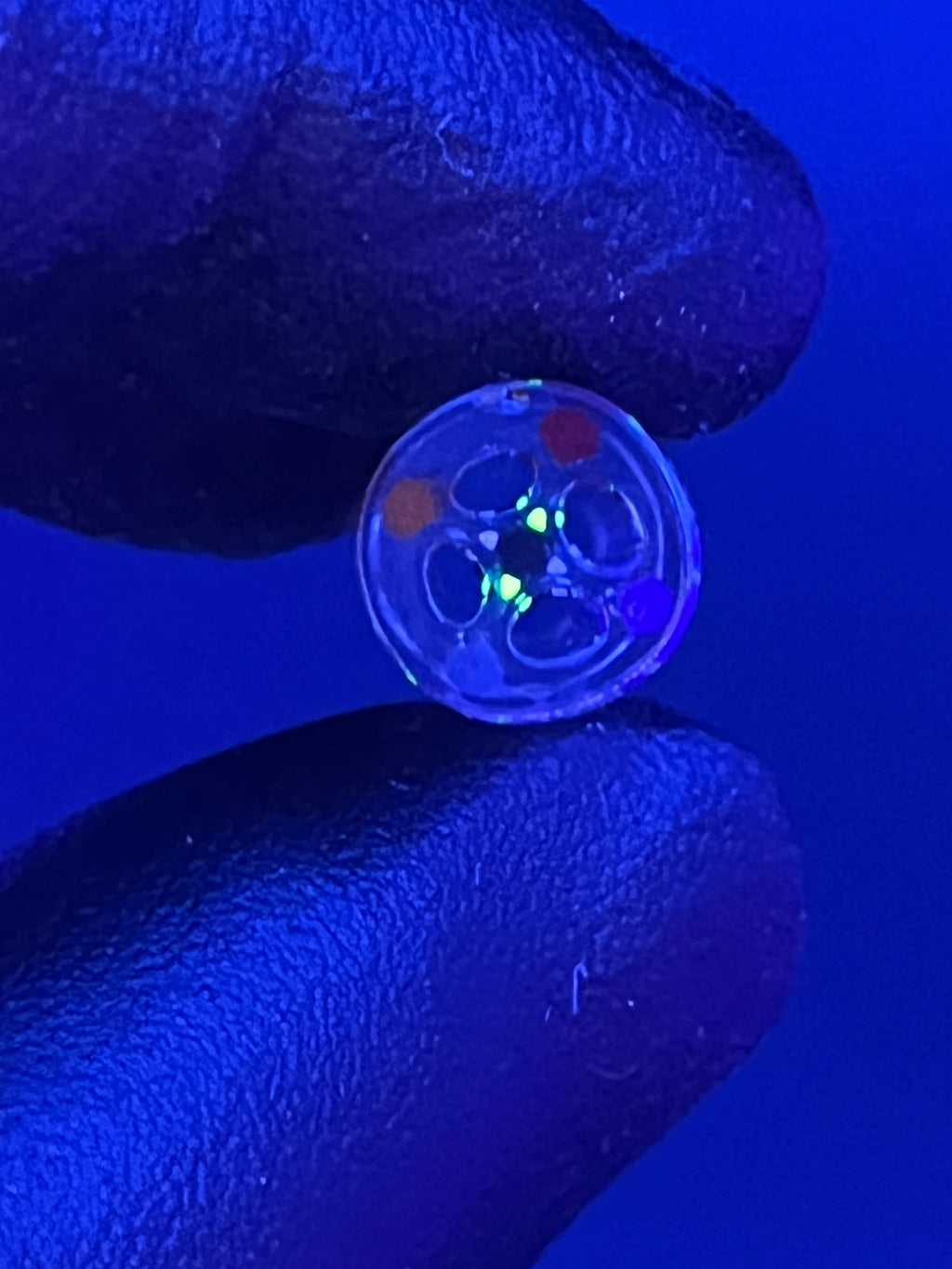 10,3mm - UV-Reaktiv - Brad B. - USA
