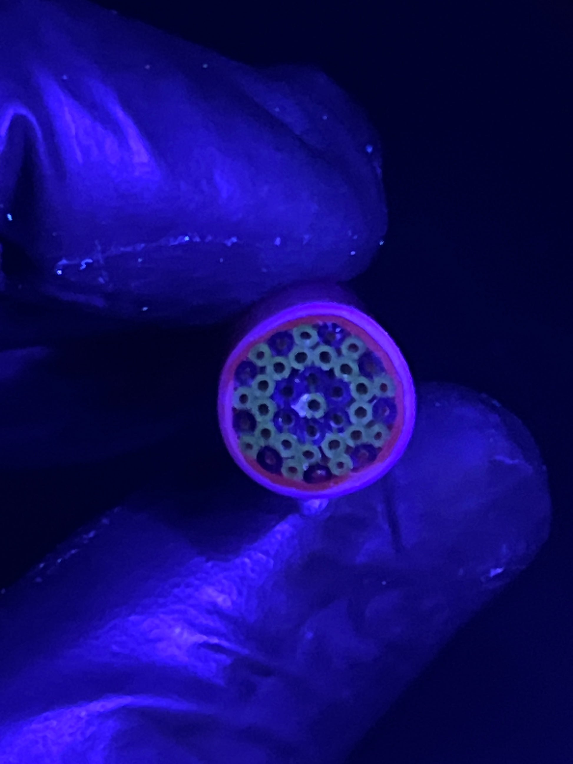 10mm - UV-Reaktiv- CXT - Freeek - USA