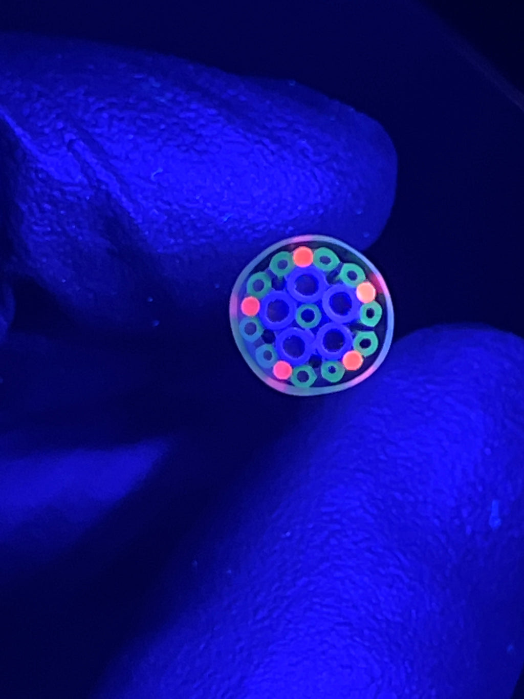 8mm - XXT UV - Freeek - USA