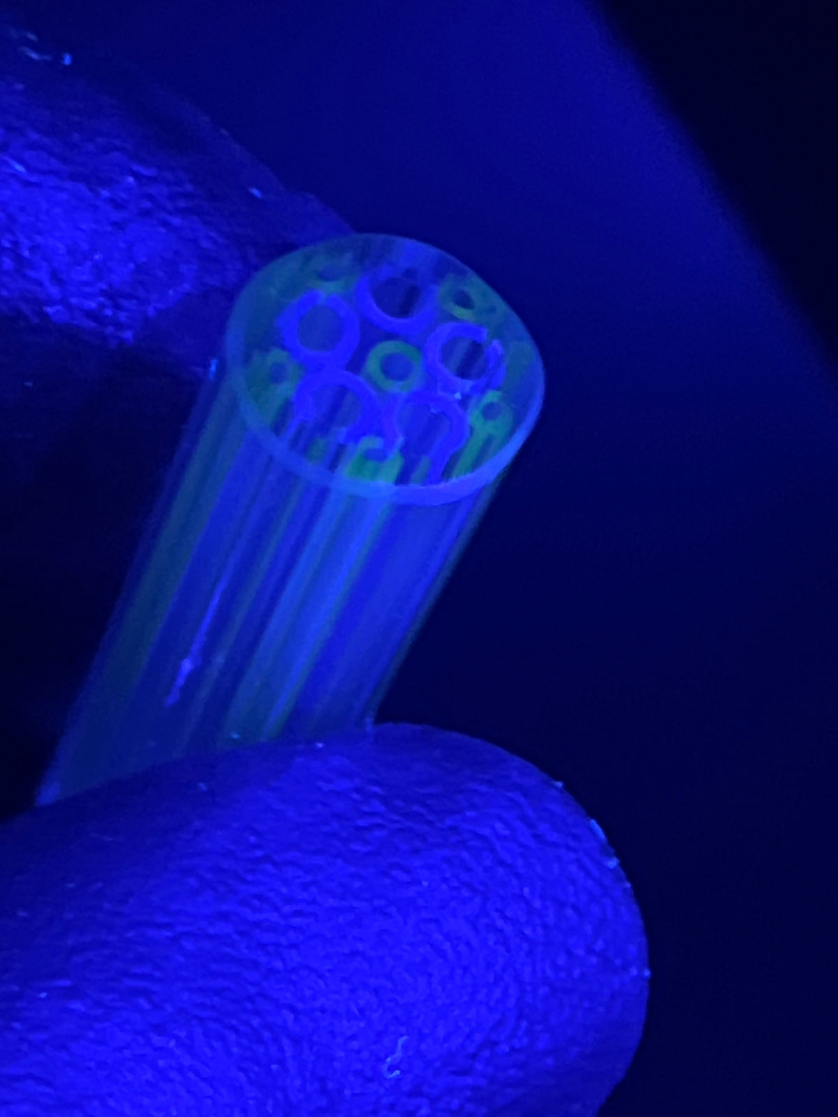 10mm - XT UV - Freeek - USA