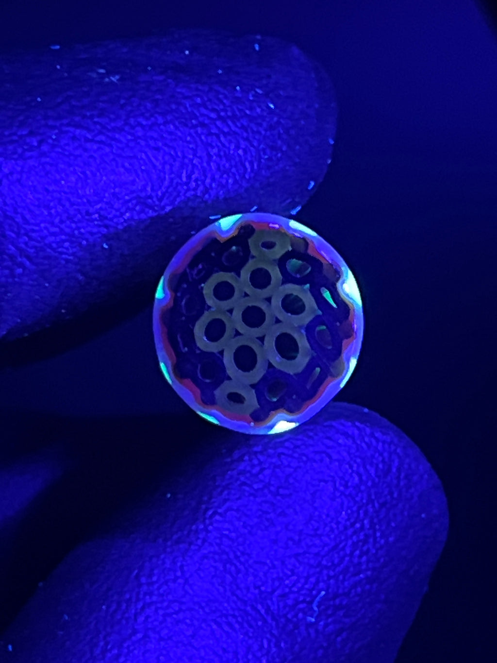 12mm - XXT UV - Freeek - USA