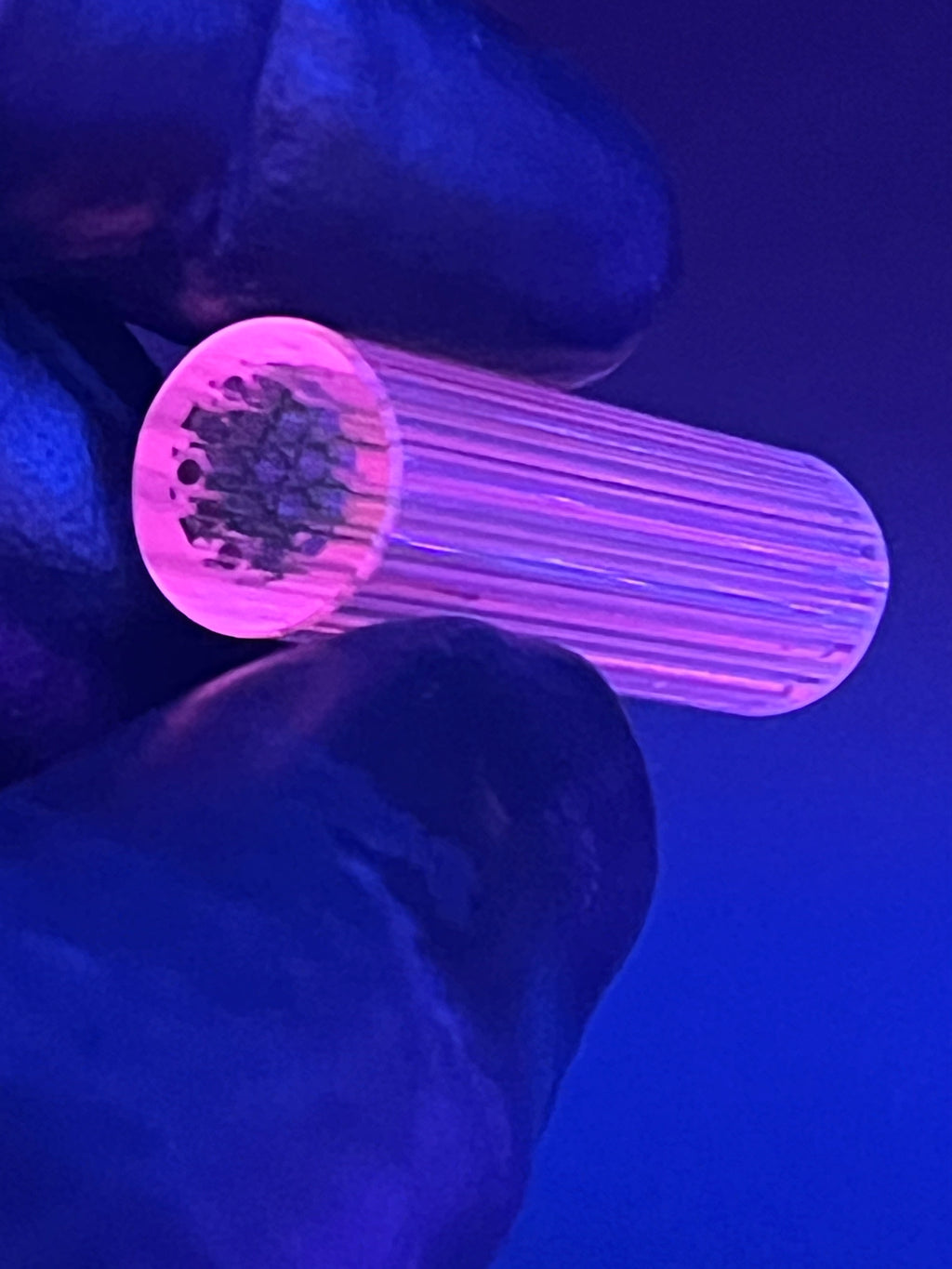 11,6mm - UV-Reaktiv- XT - Freeek - USA