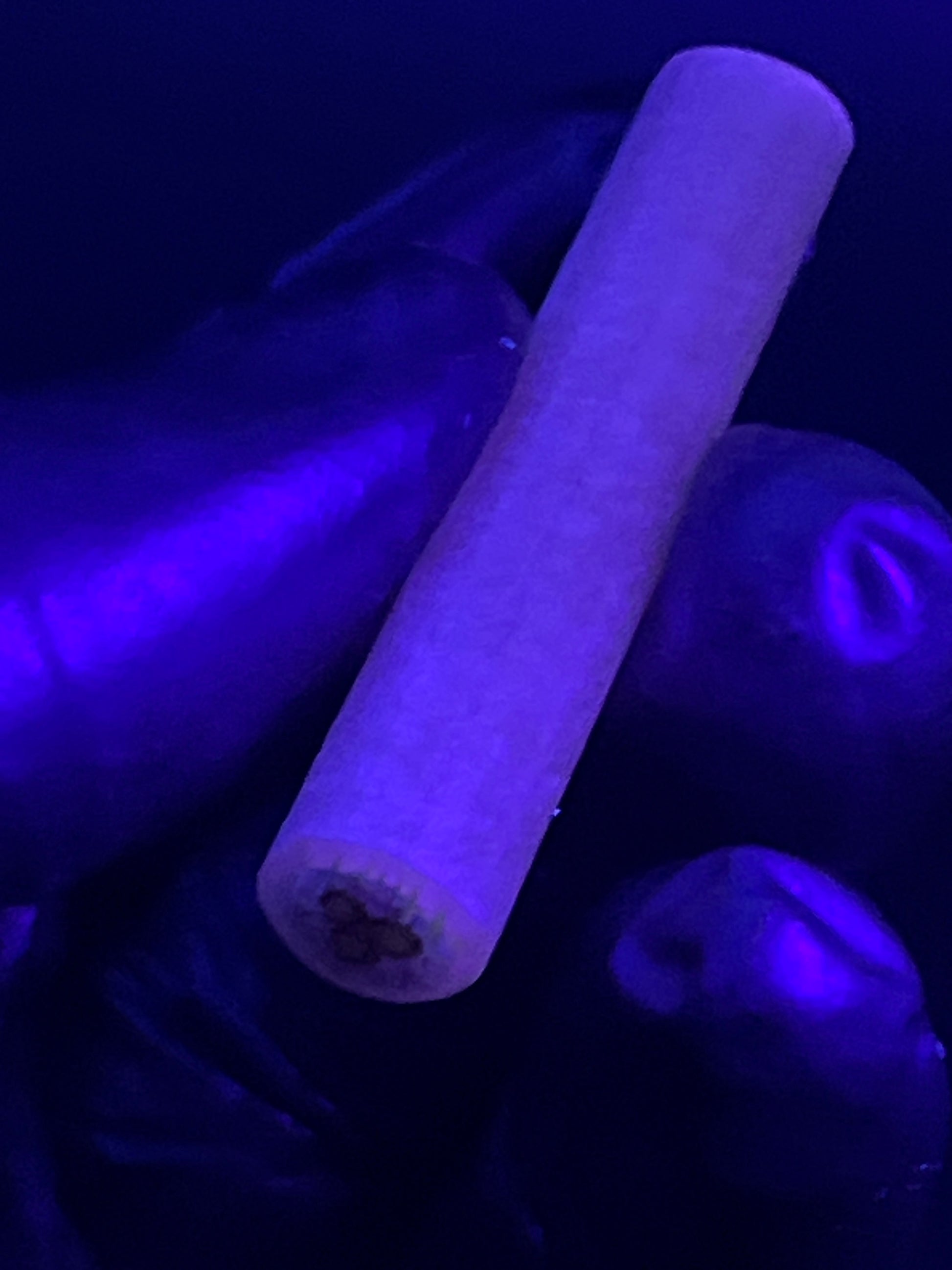 10mm - XXT - UV Reaktiv - Freeek - USA