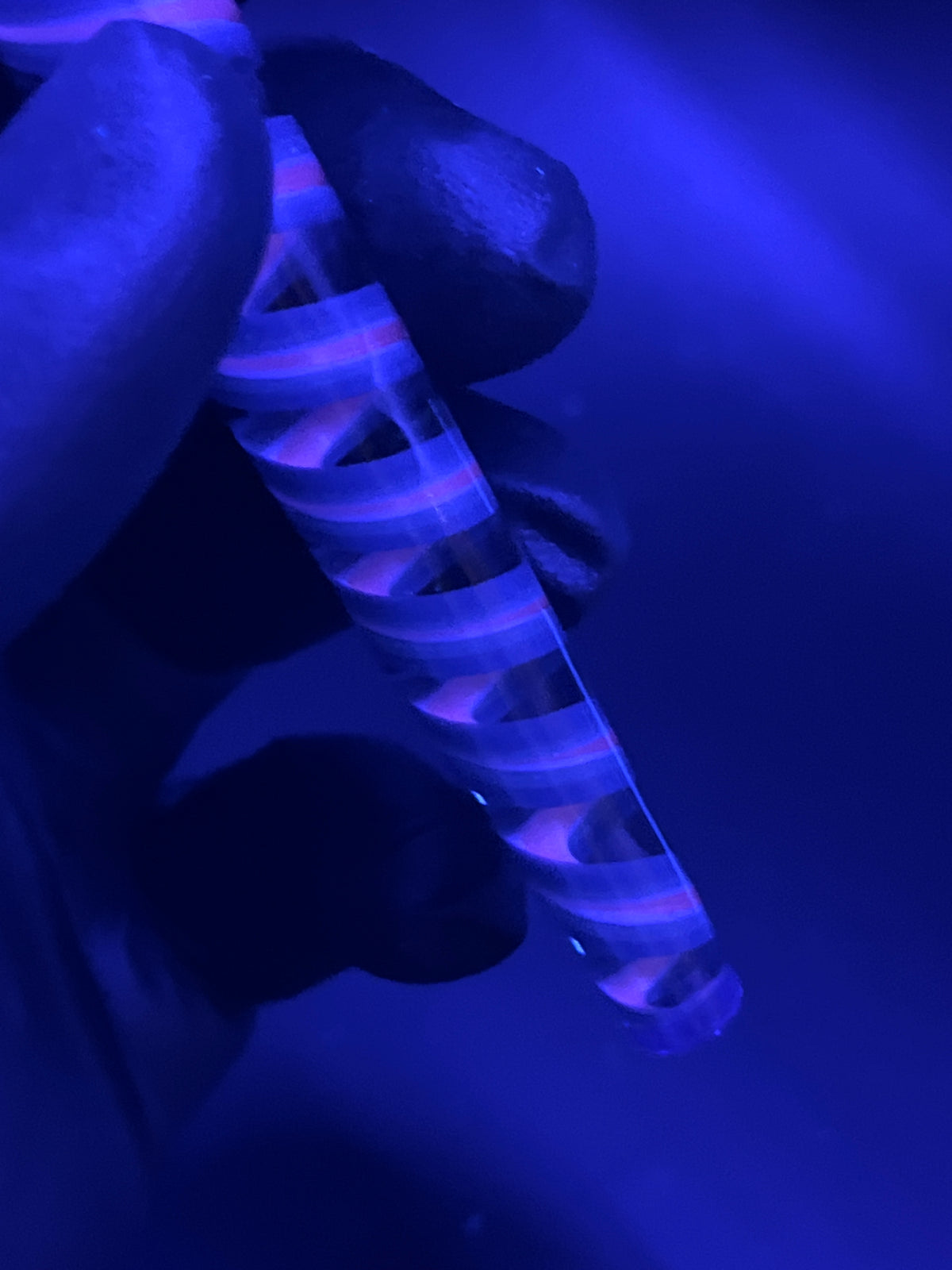 Packer - UV - Reaktiv - Brad B. - Usa