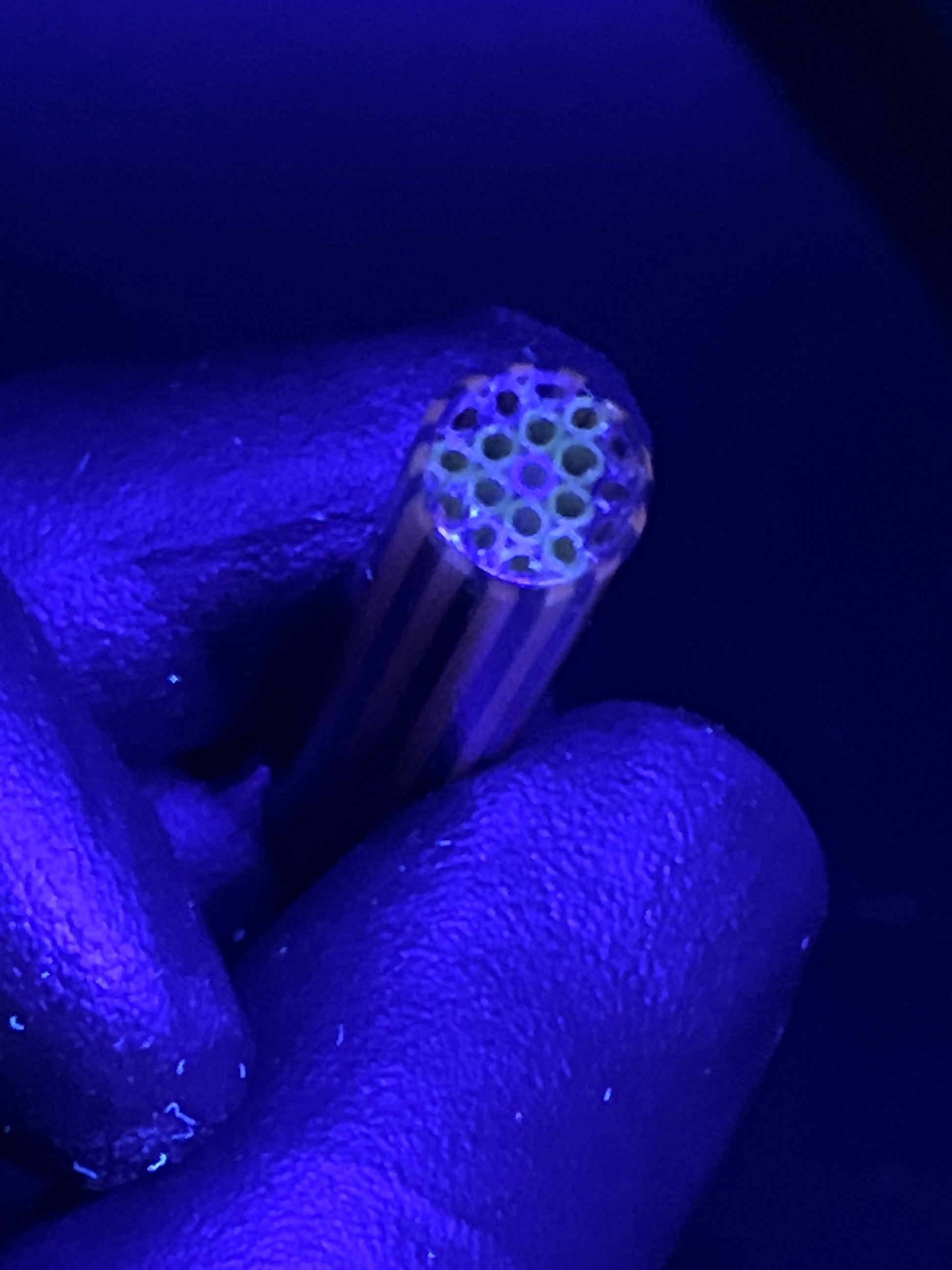 10mm - XXT - UV Reaktiv - Freeek - USA