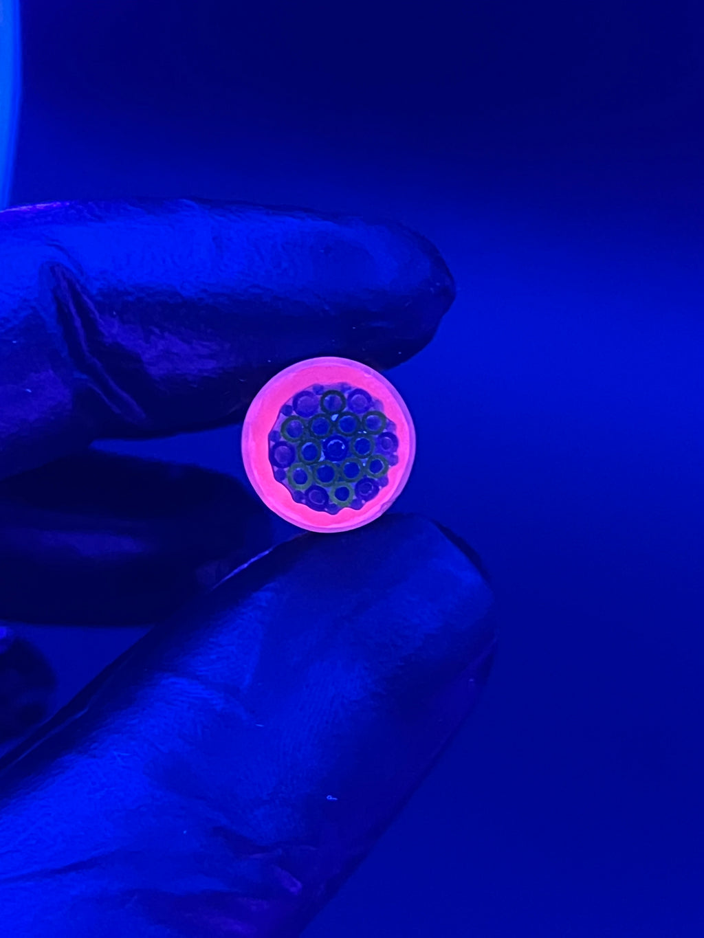 12mm - XT - UV-Reaktiv - Freeek - USA