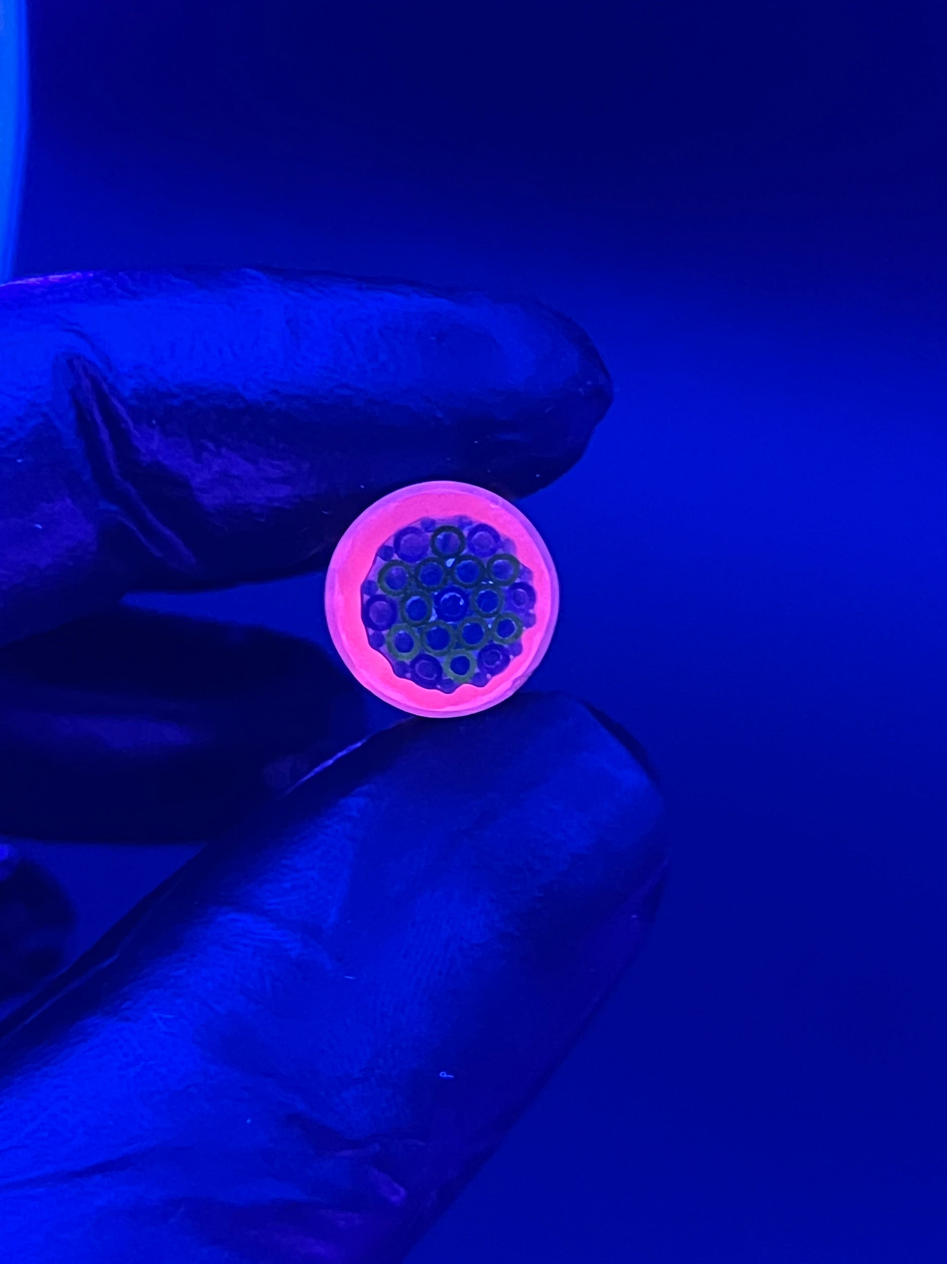12mm - XT - UV-Reaktiv - Freeek - USA