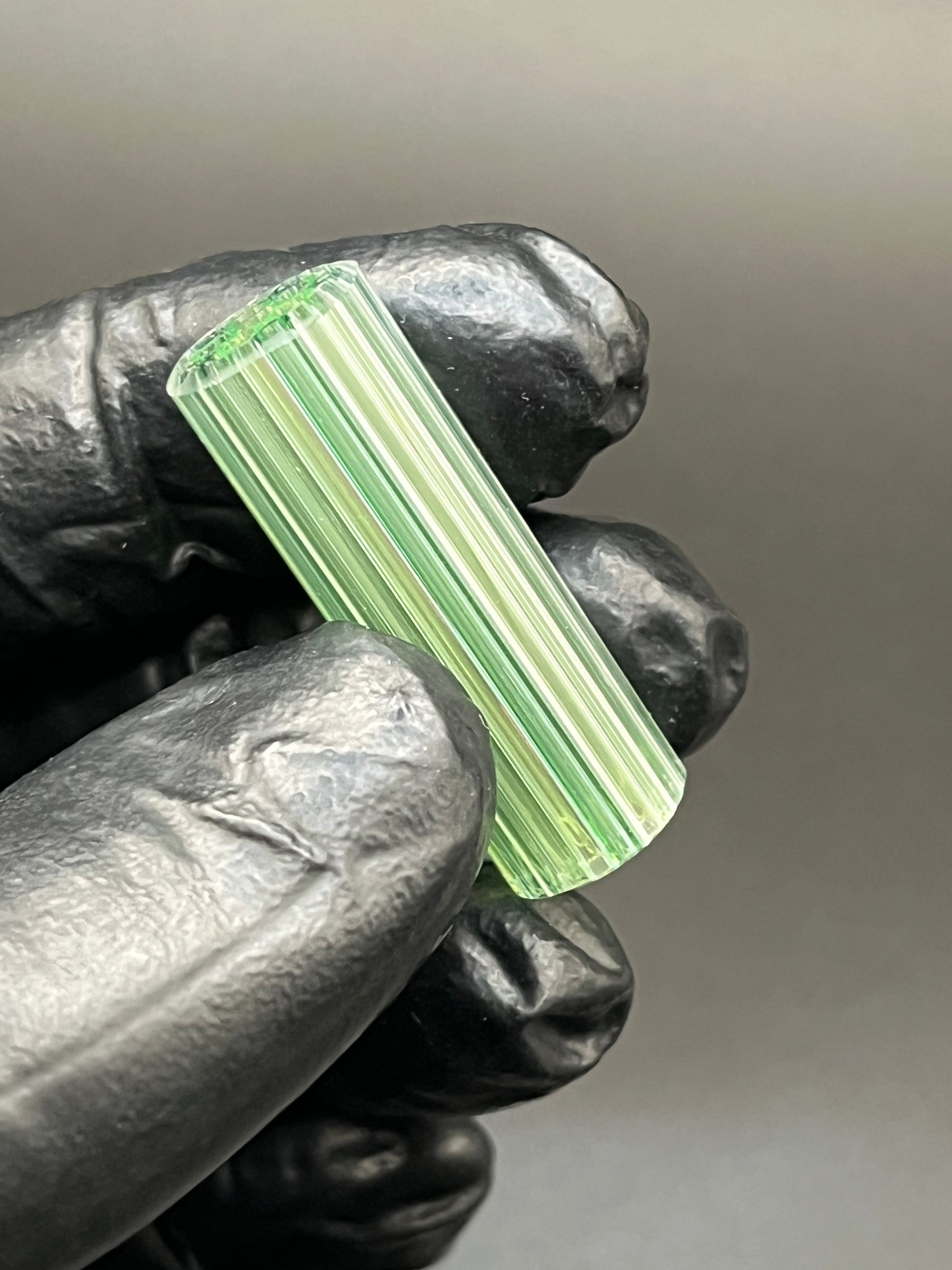 12,3mm- XT - Freeek - USA