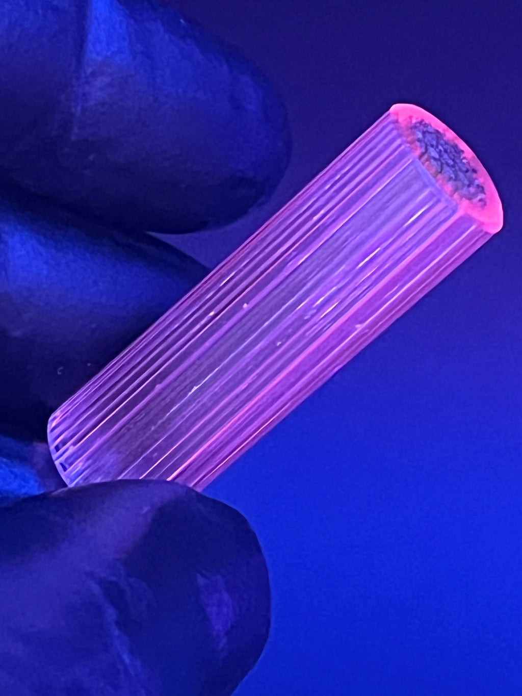 11,6mm - UV-Reaktiv- XT - Freeek - USA