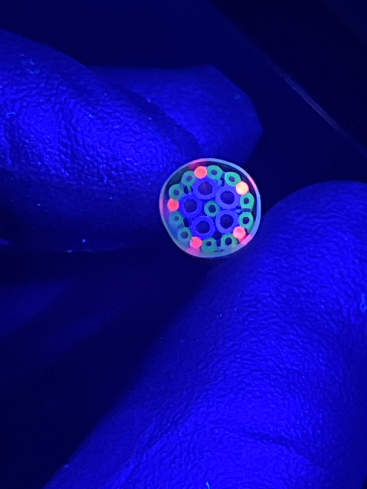 8mm - XXT UV - Freeek - USA