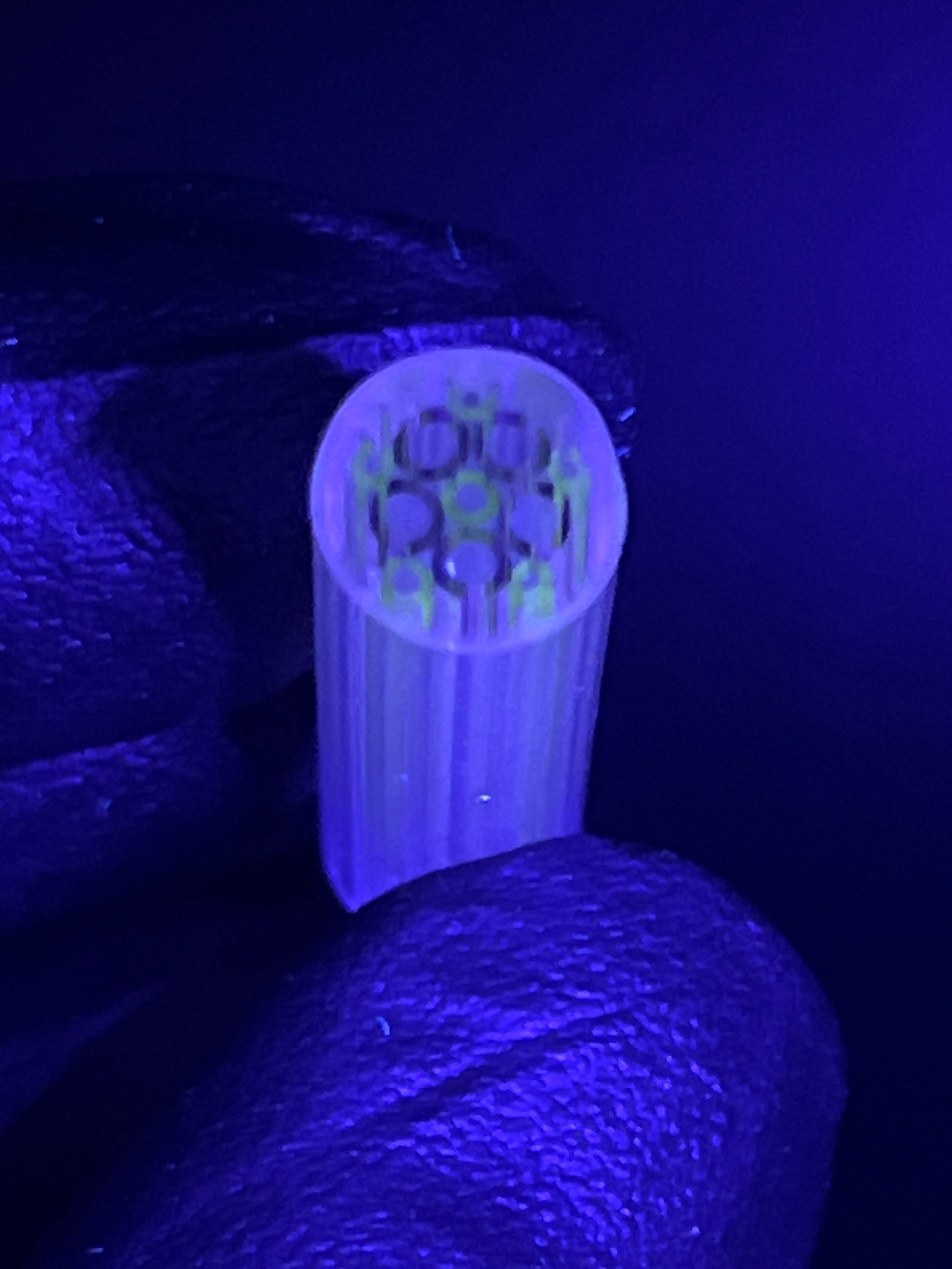 11,5mm - XXT - UV Reaktiv - Freeek - USA