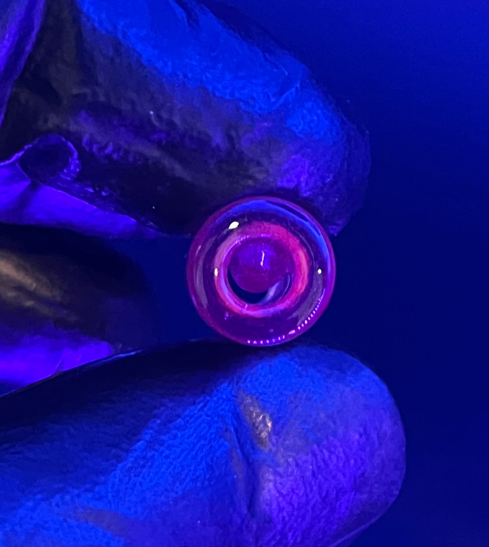 10mm - PWX Glass - Usa