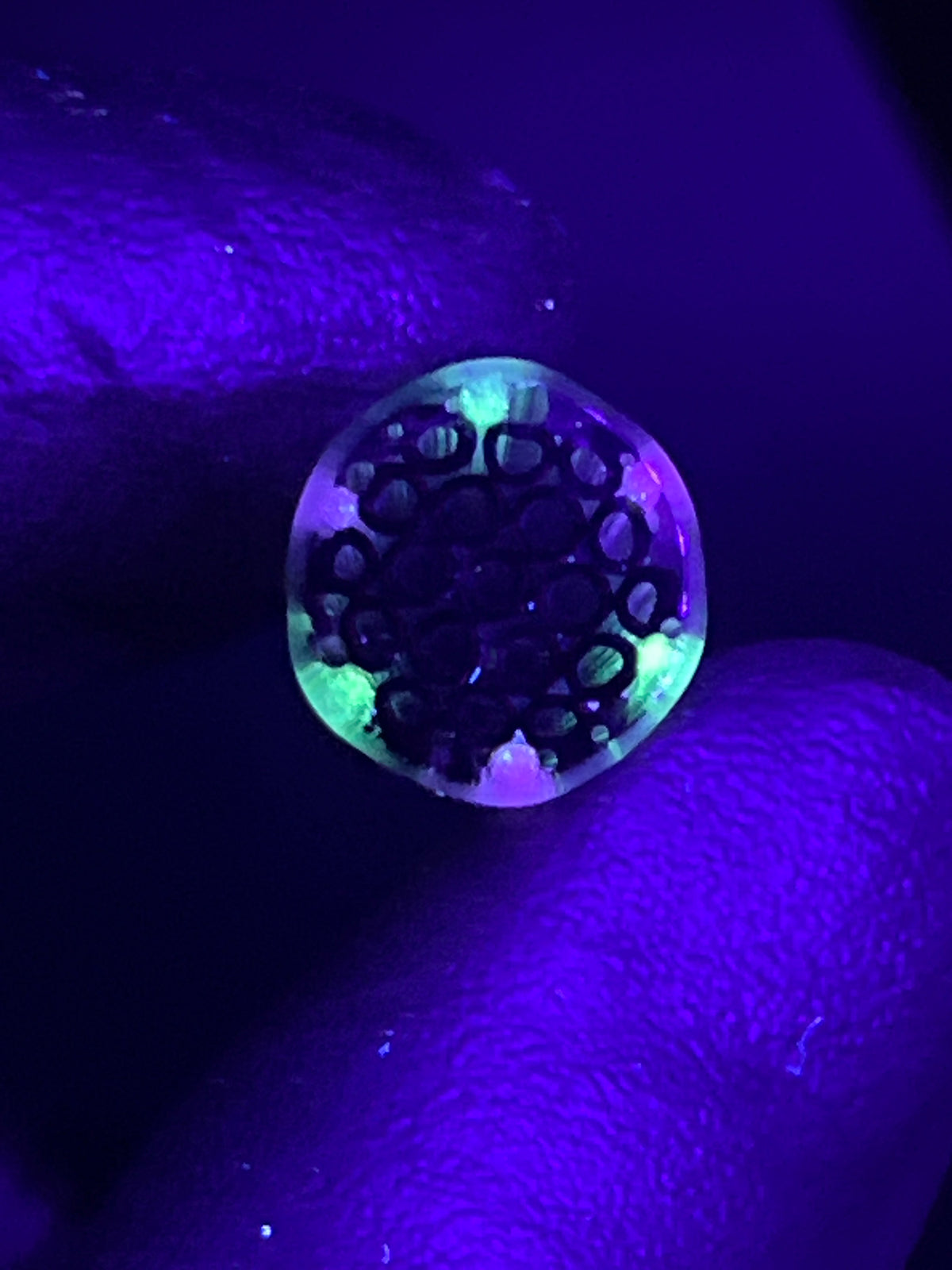 12mm - XT UV GiD - Freeek - USA
