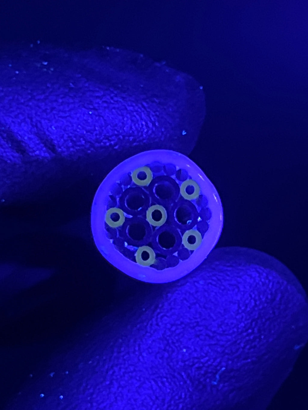 12mm - XXT  UV - Freeek - USA