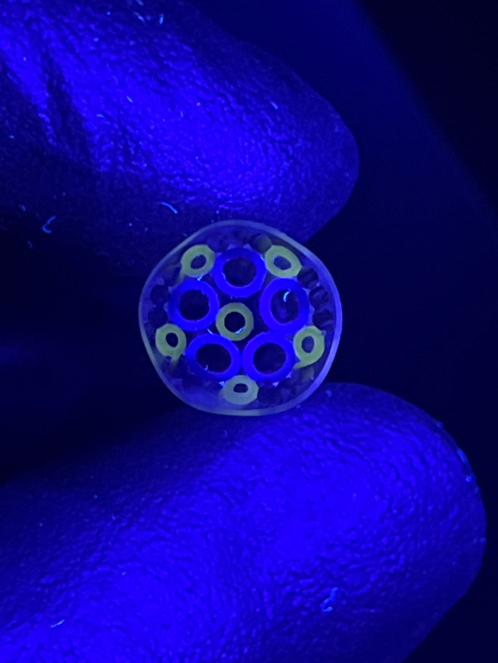 10mm - XT UV - Freeek - USA