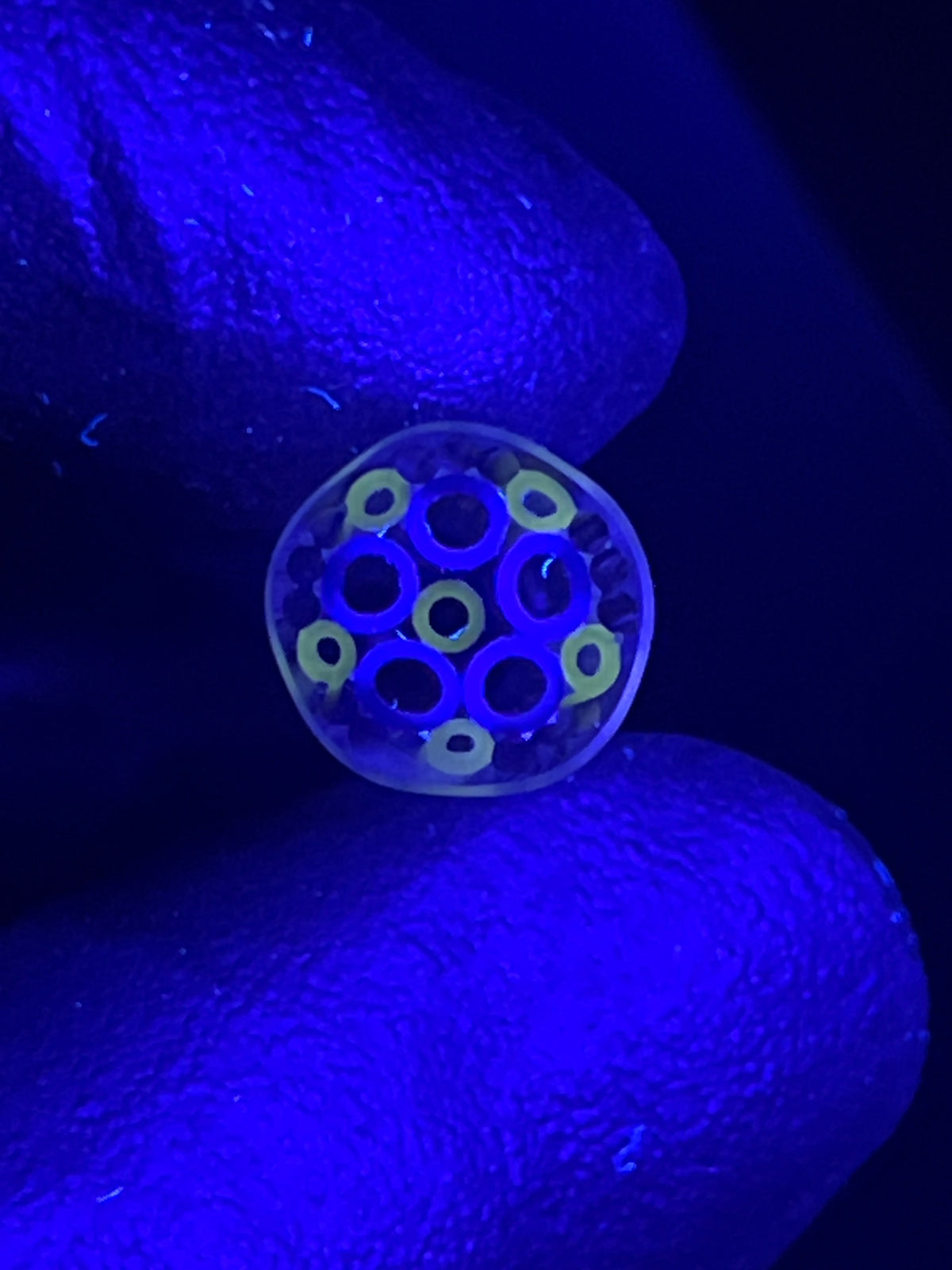 10mm - XT UV - Freeek - USA