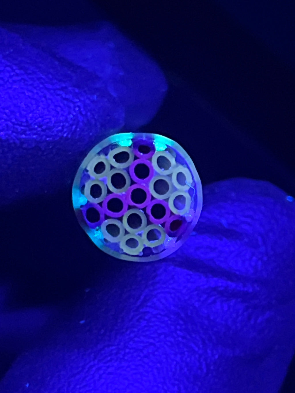 10mm - XT UV GiD - Freeek - USA